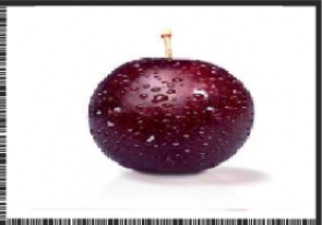 PLUM.png