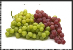 STAFILI.png8